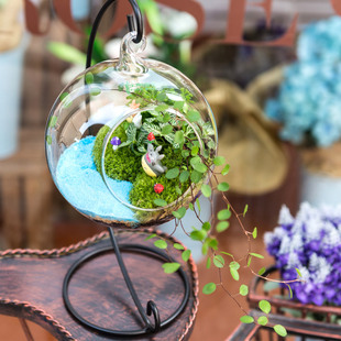 苔藓微景观生态瓶 DIY创意绿植玻璃礼品  多肉迷你盆栽江南雨巷