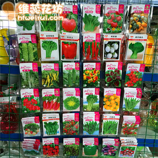 各种蔬菜花卉盆栽种子四季播种合肥维蕊全国发货