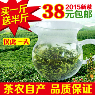 山东日照绿茶2015新茶春秋茶有机茶批发自产自销雪青38元/斤包邮