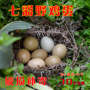 野鸡蛋七彩山鸡蛋杂粮散养 新鲜土鸡蛋农家草鸡蛋30枚