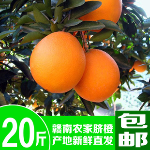 正宗赣南珍珠脐橙甜橙水果鲜橙20斤包邮新鲜橙子新鲜水果正宗脐橙