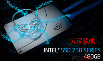 Intel/英特尔 730K 480g