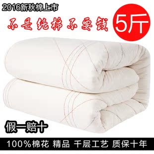 棉被 棉花被子 被芯 棉絮 棉胎 垫被空调被春秋冬被 定制 5斤装