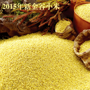 2015年新黄小米货农家自种金乡金谷小米月子米粗粮宝宝用米250g