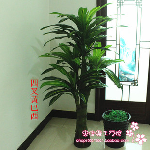 1.7米大型仿真植物散尾葵假树假花客厅落地花艺盆景盆栽绿巴西木