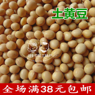 农家自种非转基因小土黄豆大豆新货发豆芽豆浆专用真空250g