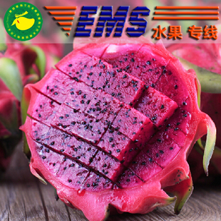 海南三亚农场现摘红心火龙果甜果 本地新鲜有机红肉果3斤EMS空运