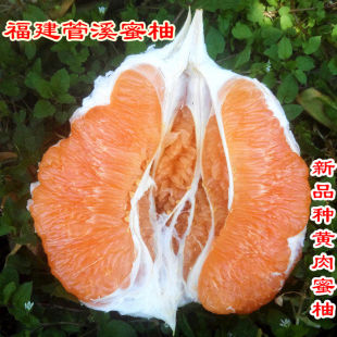 福建甜柚官溪平和密柚黄肉柚子水果新鲜黄心蜜柚管溪黄柚橙色