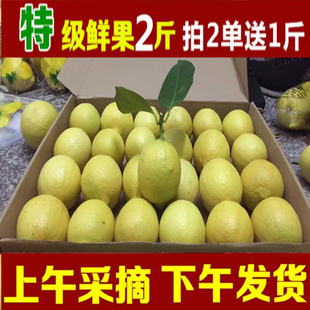2016新鲜现摘 买2送1安岳农家黄柠檬夏季一级水果2斤皮薄多汁酸果