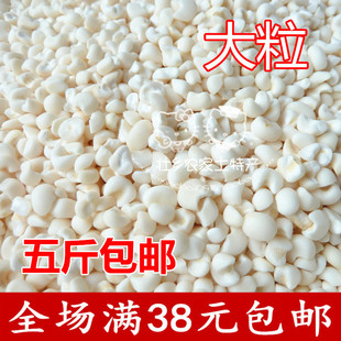 广西特产 忻城糯玉米粒 纯天然五谷杂粮煲粥必备糯玉米头500g