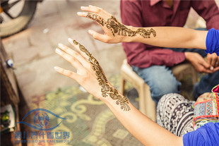 特价5支包邮印度henna印度海娜汉娜纹身膏粉防水纯植物