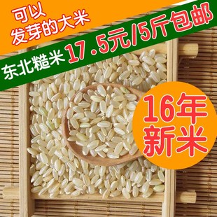 16东北糙米新米 5斤2.5kg包邮 盘锦全胚芽糙米大米玄米 五谷杂粮
