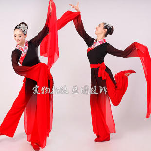 水袖舞蹁跹舞蹈演出服装/黑色古典舞民族秧歌现代舞cos服女长袖