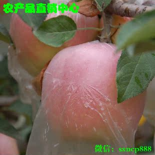 陕西特产礼泉正宗红富士苹果新鲜水果10斤包邮比山东洛川好吃甜脆