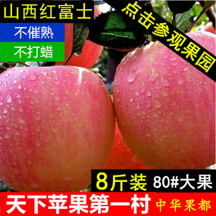 新鲜红富士苹果水果 8斤包邮 纯天然山西临猗苹果非烟台栖霞苹果