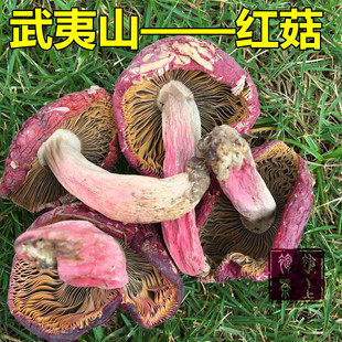 武夷山红菇 野生红蘑菇干货正宗农村自己采摘 纯天然 包邮